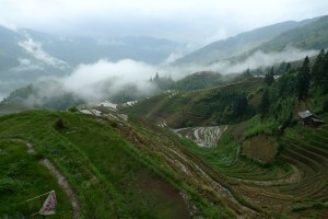 agricultural landscape photo by Daphne Kao