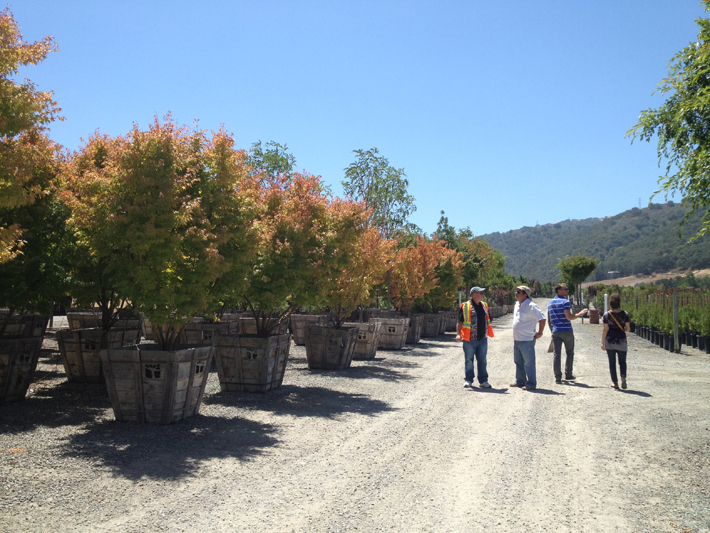 Seeking Landscape Architecture&nbsp;Interns!