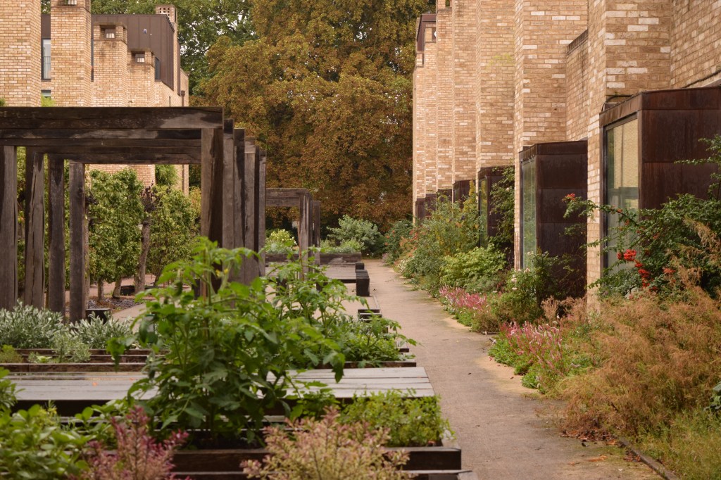 One of the communal gardens