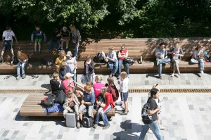 New Road Landscapeprojects