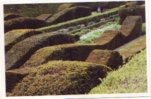 Great feeling of rhythm