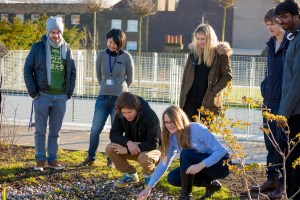 Uni of Greenwich Landscape Roof-180
