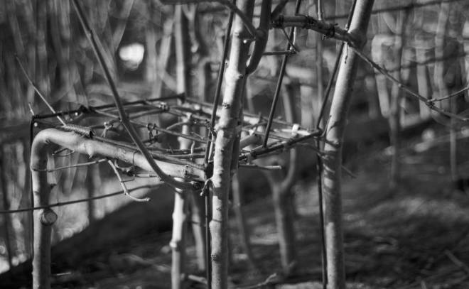 Fg_hopton_robbie_shot