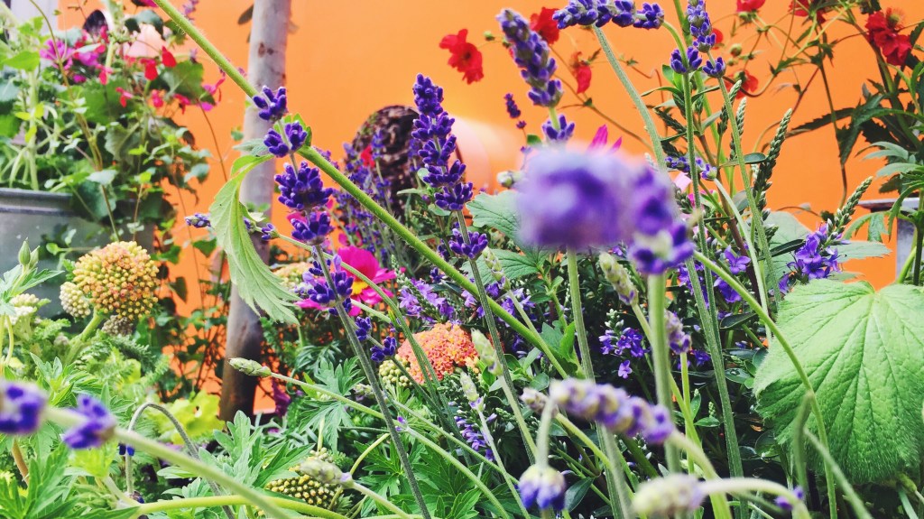 Masters students form new practice and win first&nbsp;commissions