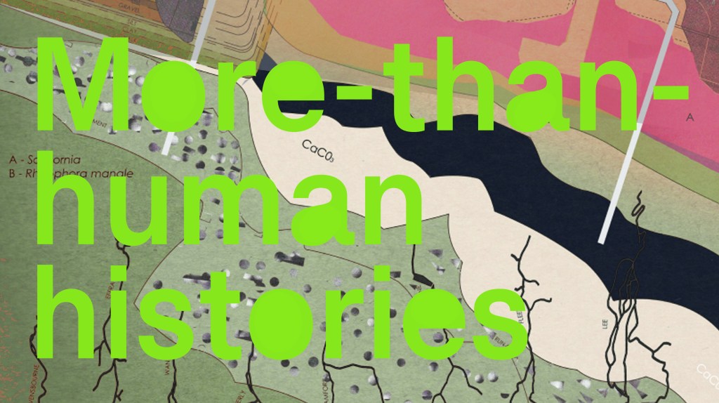 More-than-human histories