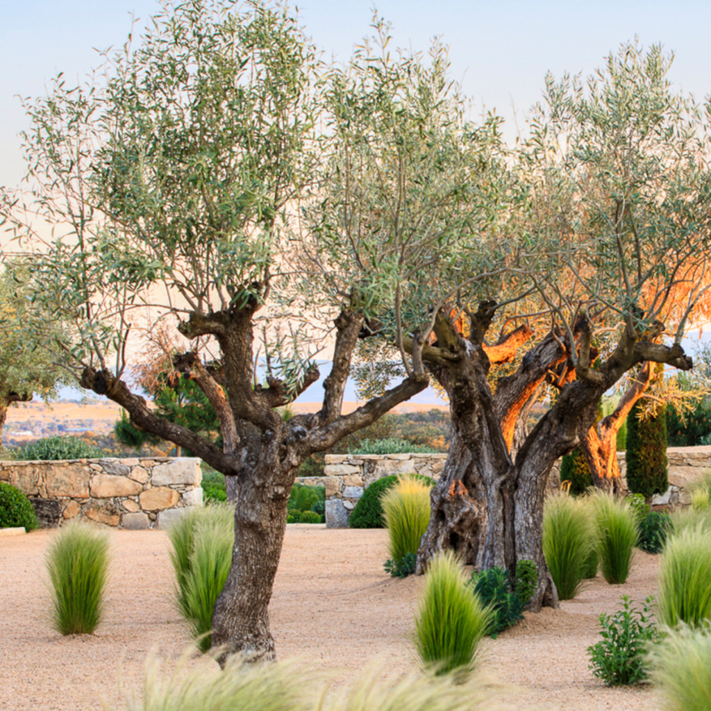 Claire Takacs and Giacomo Guzzon launch new&nbsp;book